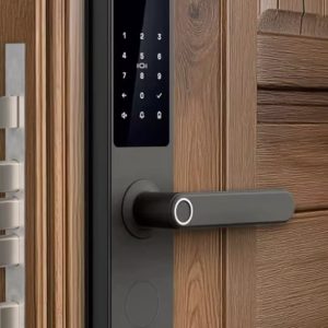 Door lock(without facial recognition)